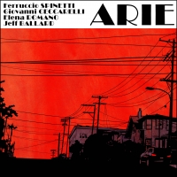 VVJ 142 - Ferruccio Spinetti - Arie